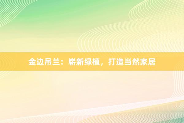 金边吊兰：崭新绿植，打造当然家居